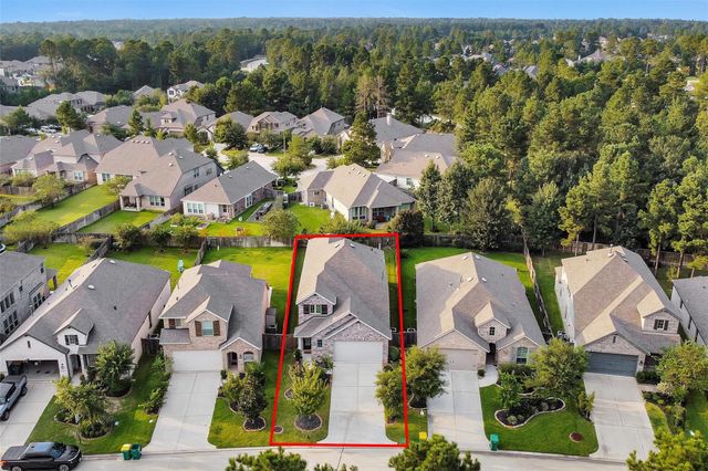 118 Emory Birch Drive, Montgomery, TX 77316