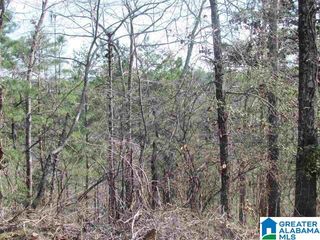 0000 COGSWELL AVENUE, Pell City, AL 35125