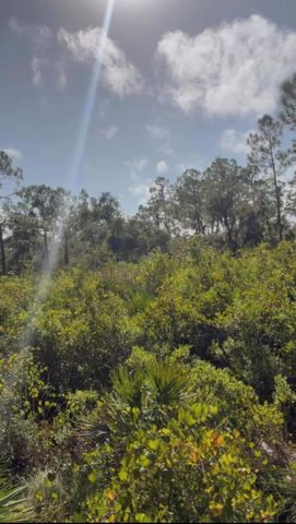 1505 Rutledge Avenue, Lake Placid, FL 33852