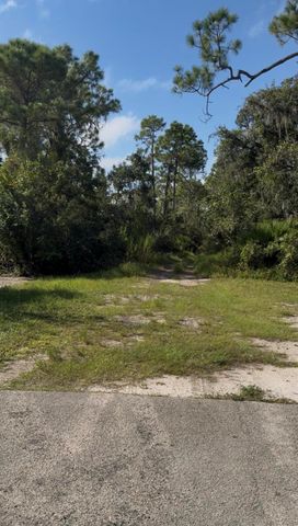 1505 Rutledge Avenue, Lake Placid, FL 33852