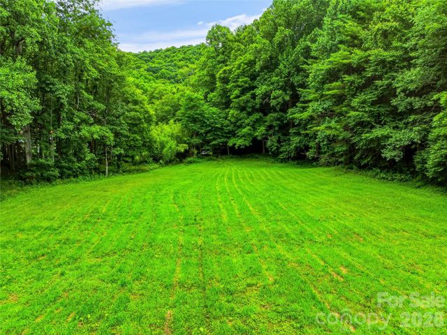 961 Wilson Branch Road, Mars Hill, NC 28754