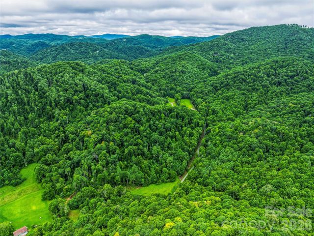 961 Wilson Branch Road, Mars Hill, NC 28754