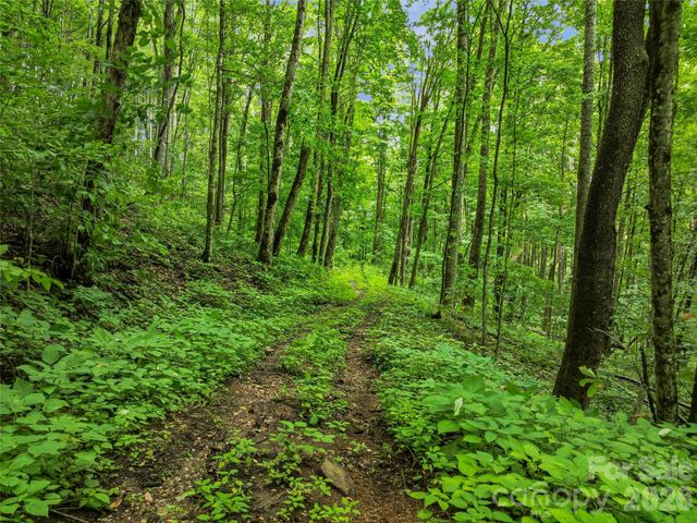 961 Wilson Branch Road, Mars Hill, NC 28754