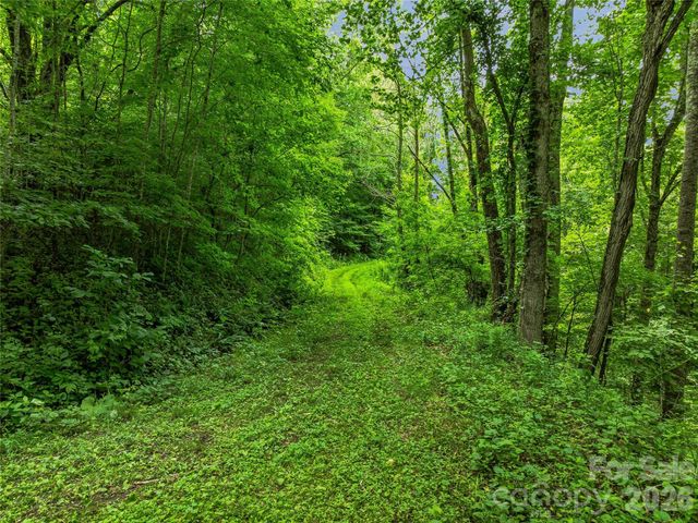 961 Wilson Branch Road, Mars Hill, NC 28754