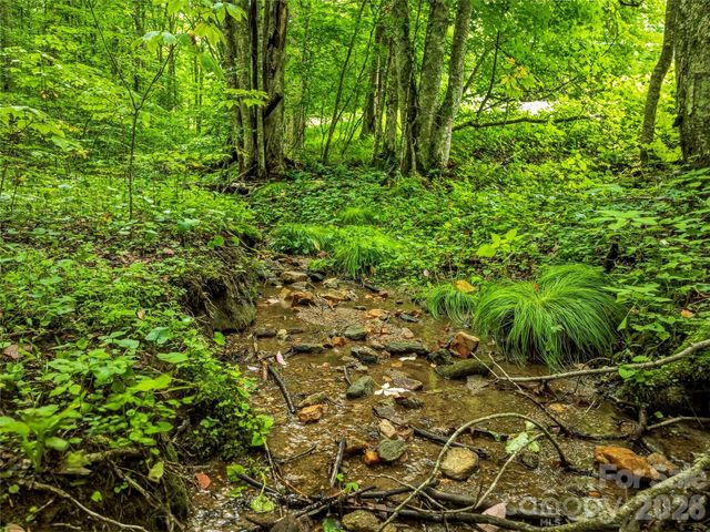 961 Wilson Branch Road, Mars Hill, NC 28754