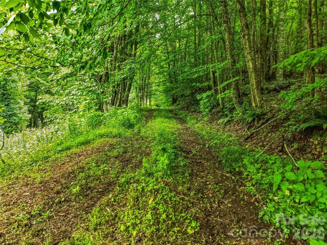 961 Wilson Branch Road, Mars Hill, NC 28754