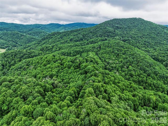 961 Wilson Branch Road, Mars Hill, NC 28754