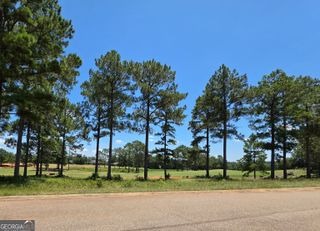 LOT 10&11 Camden Way, Hawkinsville, GA 31036