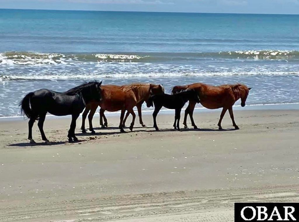 Image 32 of property listing at 1040 Mirage Street Lot 24, Corolla, NC 27927