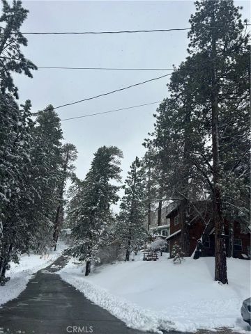 1289 Canyon Road, Fawnskin, CA 92333