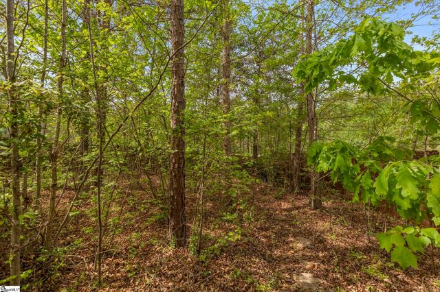 1 Wild Fern Court, Travelers Rest, SC 29690