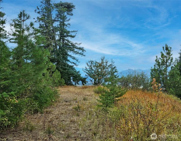 0 Lot 78 Skull Springs Road, Cle Elum, WA 98922