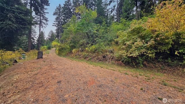 0 Lot 78 Skull Springs Road, Cle Elum, WA 98922