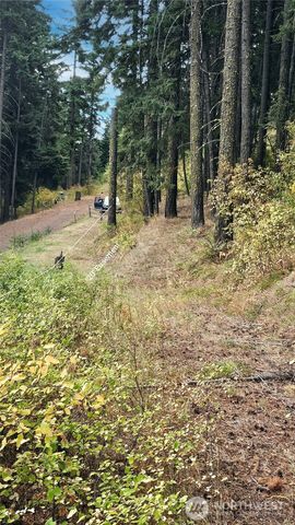 0 Lot 78 Skull Springs Road, Cle Elum, WA 98922