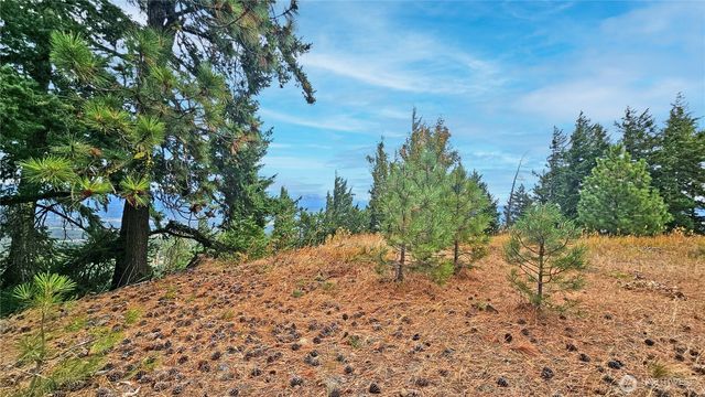 0 Lot 78 Skull Springs Road, Cle Elum, WA 98922