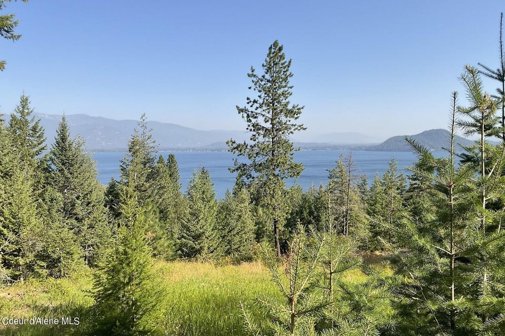 NNA Big Pine Drive, Sagle, ID 83860
