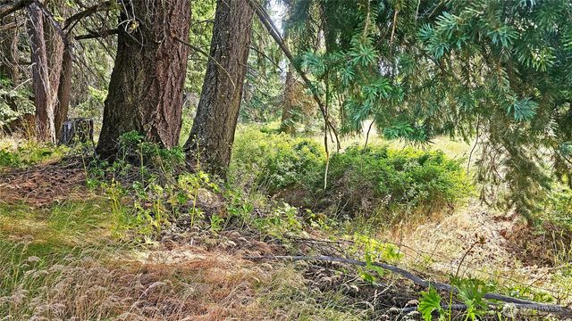 0 Lot 4 Darling Way, Cle Elum, WA 98922
