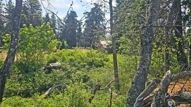 0 Lot 4 Darling Way, Cle Elum, WA 98922