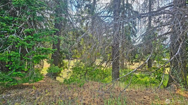 0 Lot 4 Darling Way, Cle Elum, WA 98922