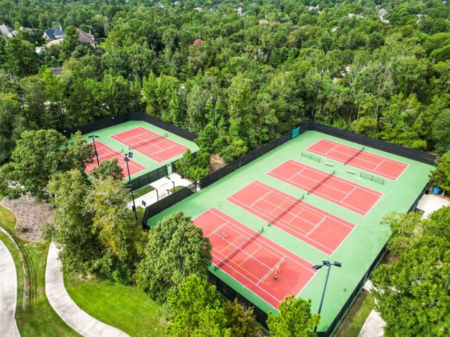 275 Capriccio Lane, Montgomery, TX 77316