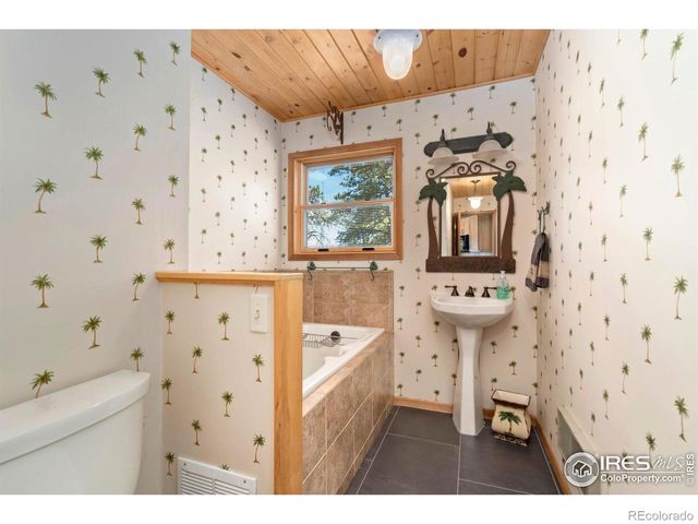 556 Bald Mountain Drive, Livermore, CO 80536