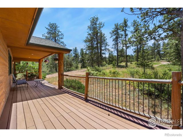 556 Bald Mountain Drive, Livermore, CO 80536