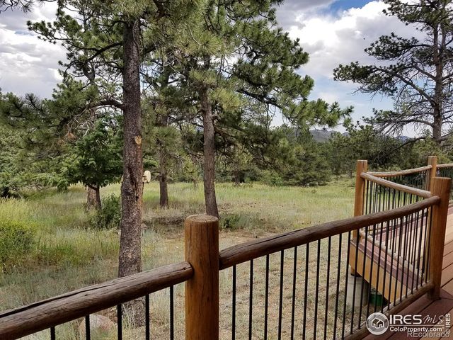 556 Bald Mountain Drive, Livermore, CO 80536