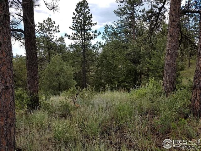 556 Bald Mountain Drive, Livermore, CO 80536