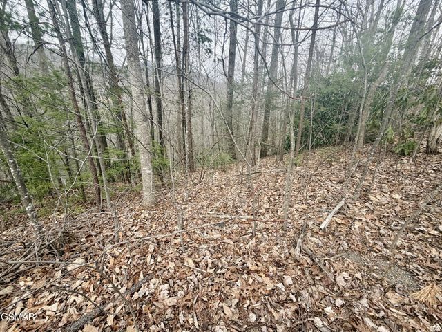 6 Thissa Way, Gatlinburg, TN 37738