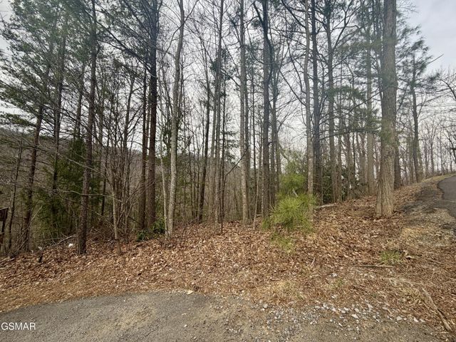 6 Thissa Way, Gatlinburg, TN 37738