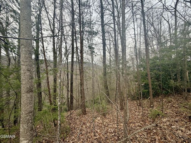 6 Thissa Way, Gatlinburg, TN 37738