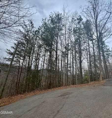 6 Thissa Way, Gatlinburg, TN 37738