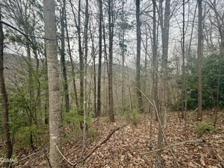 6 Thissa Way, Gatlinburg, TN 37738