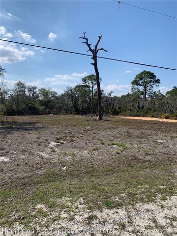 1046 Chestnut Street, Lake Placid, FL 33852