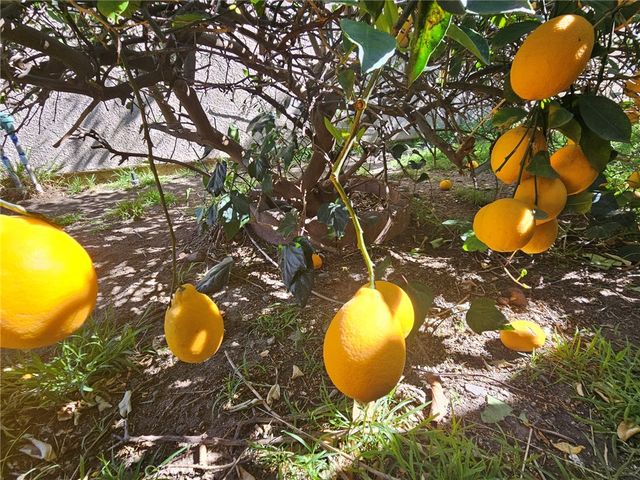 4727 San Miguel Avenue, San Bernardino, CA 92407