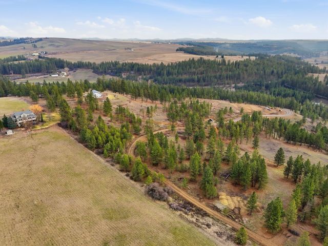 3344 E Balsam Hill Ln, Valleyford, WA 99036