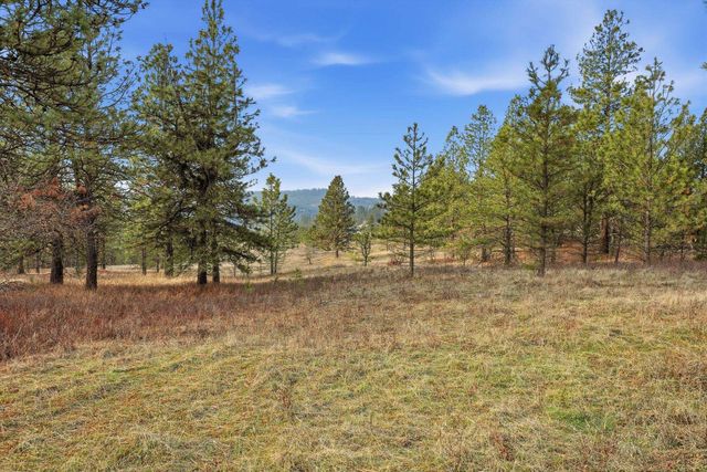 3344 E Balsam Hill Ln, Valleyford, WA 99036