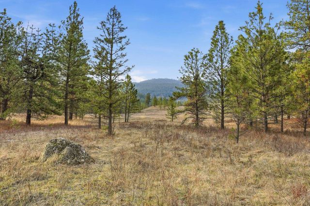 3344 E Balsam Hill Ln, Valleyford, WA 99036