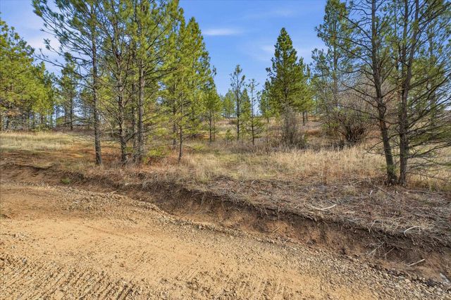 3344 E Balsam Hill Ln, Valleyford, WA 99036