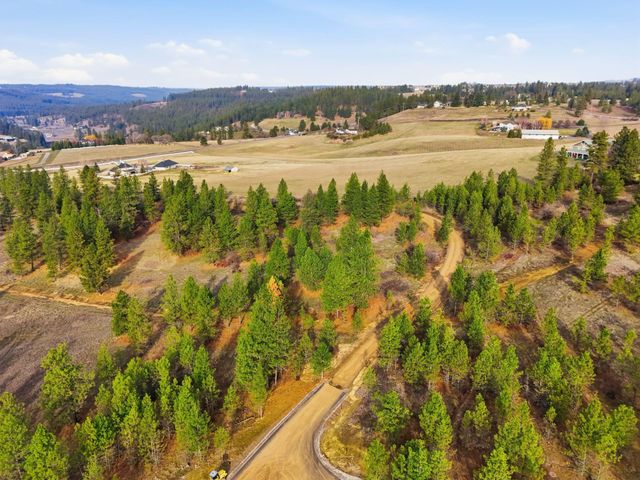 3344 E Balsam Hill Ln, Valleyford, WA 99036
