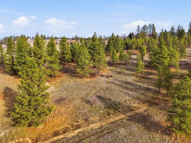3344 E Balsam Hill Ln, Valleyford, WA 99036