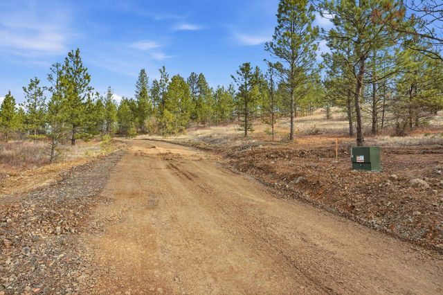 3344 E Balsam Hill Ln, Valleyford, WA 99036