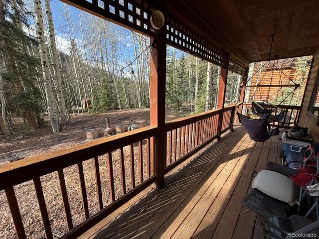 25981 County Road 162 E, Nathrop, CO 81236