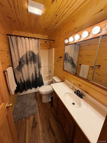 25981 County Road 162 E, Nathrop, CO 81236