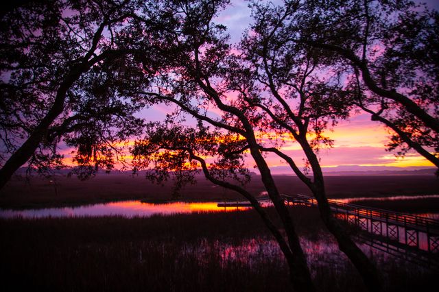 1721 Live Oak Park, Seabrook Island, SC 29455