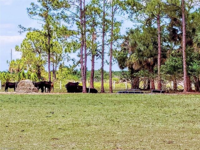 1001 Homestead AVE, Clewiston, FL 33440