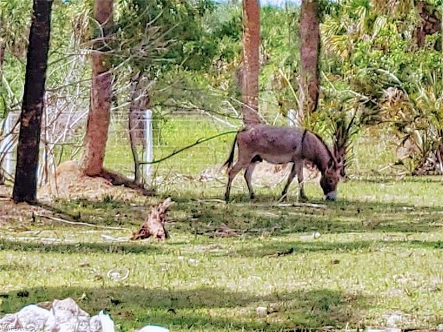 1001 Homestead AVE, Clewiston, FL 33440