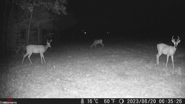 470 Michelson Rd, Houghton Lake, MI 48629