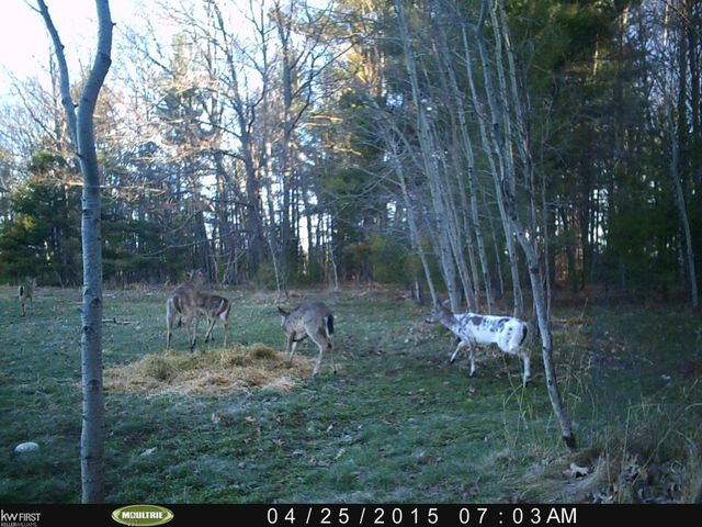 470 Michelson Rd, Houghton Lake, MI 48629