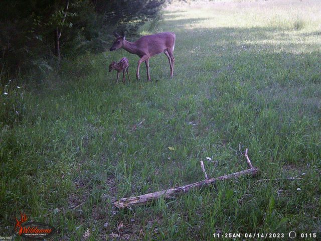470 Michelson Rd, Houghton Lake, MI 48629